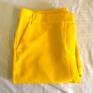 Yellow Pant
